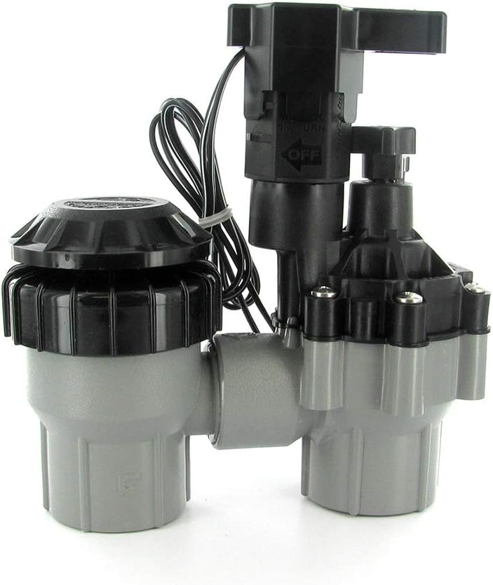 Rain Bird Anti-Siphon Valve with Flow Control 3/4 in. FPT | 075ASVF