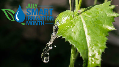 Smart Irrigation: Technologies that Use Water Efficiently