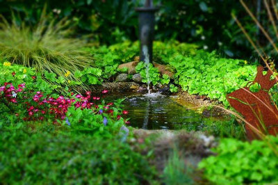 Tips and Tricks for Fall and Winter Pond Care