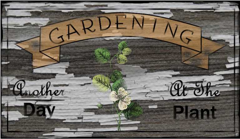 Spring Cleaning for the Garden