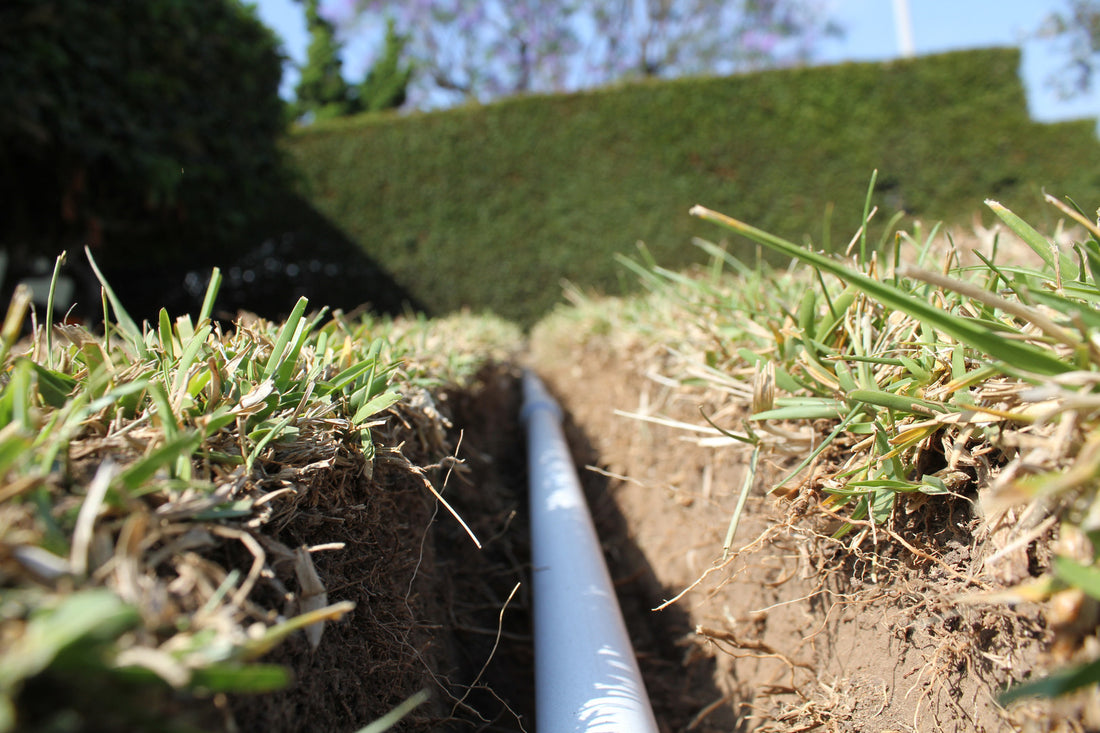 Intelligent Irrigation